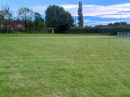 Open field