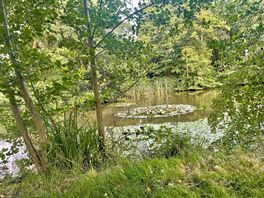 Wildlife lake