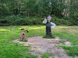 Forest trails