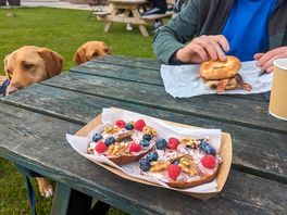 The best bagels!