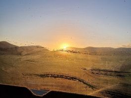 Amazing sunrise from my bed