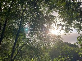 Morning view
