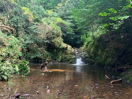 Waterfall within walking distance from the campsite