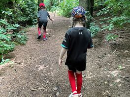 Little woodland stroll