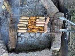 Fire pit bbq