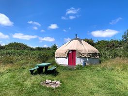 Daddy Bear yurt