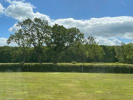 View from the campervan, a grass field with the forest in de background.