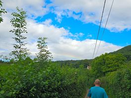 Lovely walks