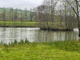 Kingfisher lake