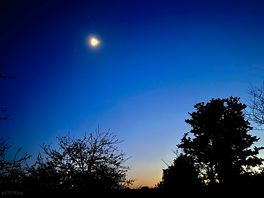 Moon