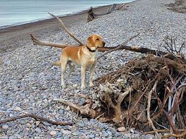 Site beach