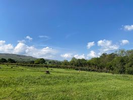 Amazing weather!