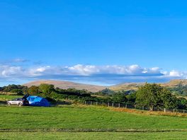 Grass tent pitch