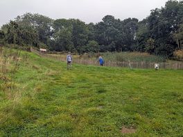 Site