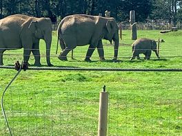 Whipsnade zoo