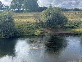 Nearby walk