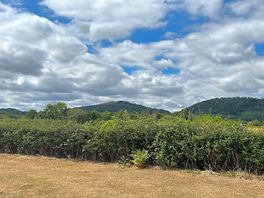 Looking west from roseville farm