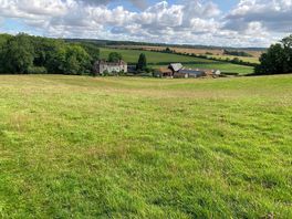 View while on a walk