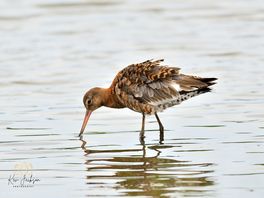 Taken at gibraltar point.