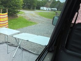 Our robin that follows us to different camp sites