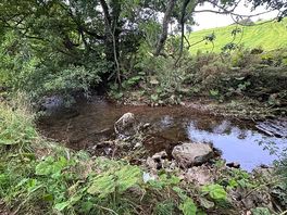 River next to camp