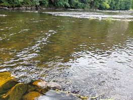 Au bord de la rivière