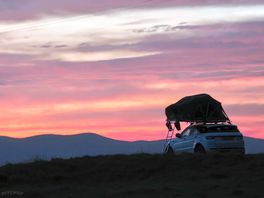 Pink skys