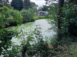 Always a quick walk around the pond
