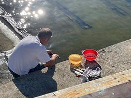 Lungomare dove passeggiare a pochi metri dal campeggio