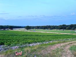 View of the campsite and reservoir