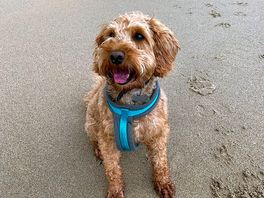 Trip to the beach