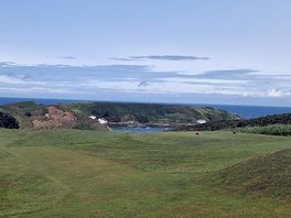 .morfa