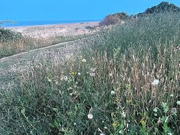 Lovely views of the beach from the cliff top at the end of the site , 5 min walk from our van .