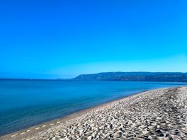 Mare