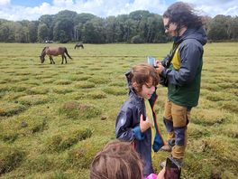 Family walks in the large open spaces