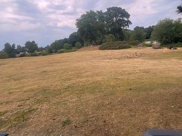View from lake side looking towards restaurant area / musical festival
