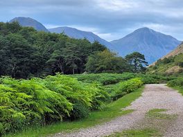 This is the path from the camp site to the lake