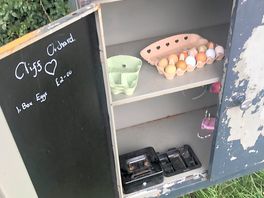Honest box