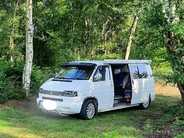 Under the trees