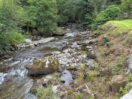 Stunning river walk