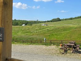 View from the bar