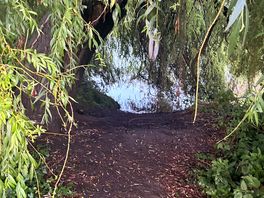 Riverside path