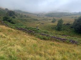 Views on the walks