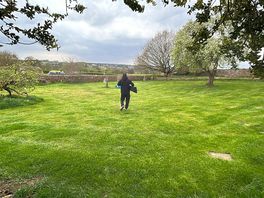 Empty field