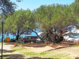 Pitches with sea views