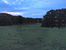 Evening views
