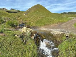 Stream