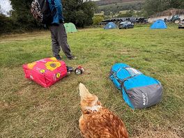 Campsite set up with the view + chicken