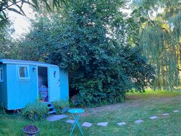 Panoramic of willow & path leading up to her.