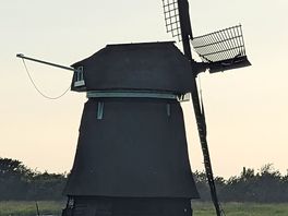 Die mühle in der nähe
